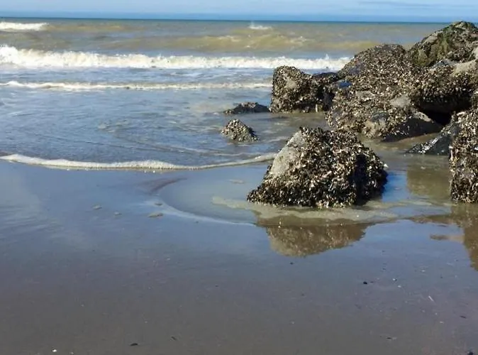 Beachstudio Westende With Sea View ミデルケルケ