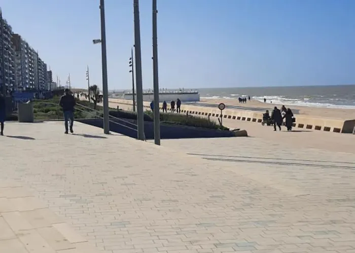 Beachstudio Westende With Sea View דירה מידלקרק